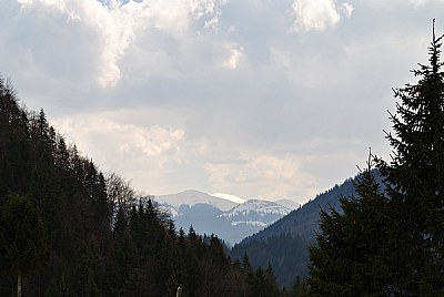 Romania Carpathians 