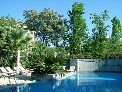 Pool at Morning