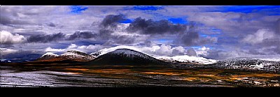 North West Territories Tundra