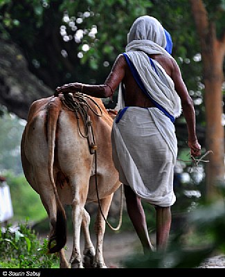 Village Life