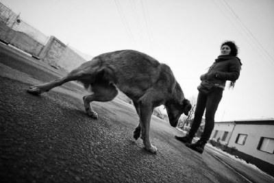 She and the dog