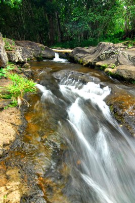 Hopi'i Falls stream