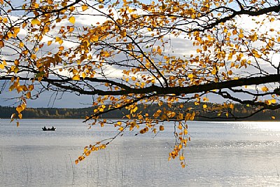 On a lake in autumn.