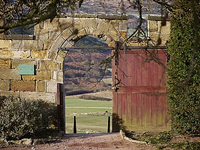 Through the Gates