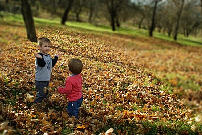 Children in nature