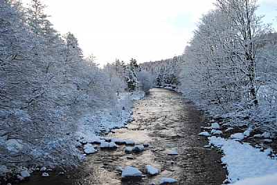 Wintery River