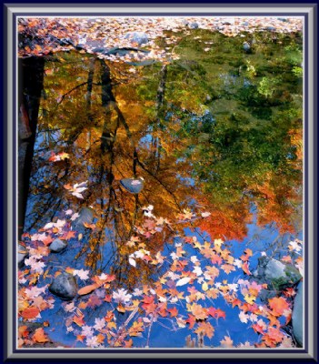 Autumnal reflection.