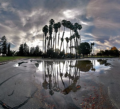 park Las Palmos