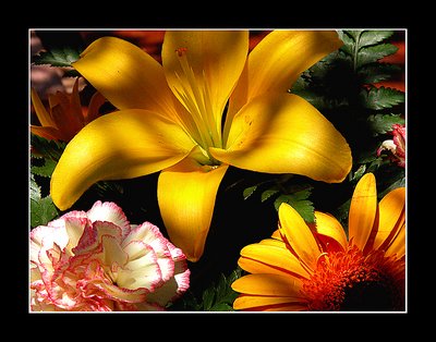Blessed flowers