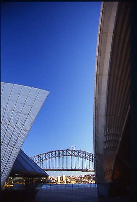Sydney's curves