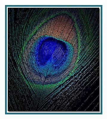 Eye of the Peacock