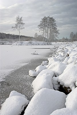 In White Peace