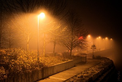 foggy night