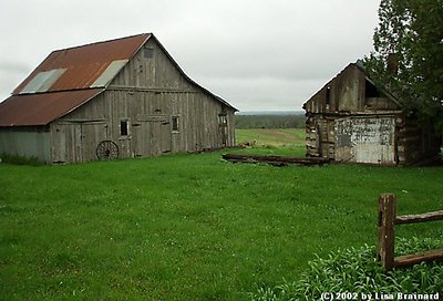 Allamakee Countryside