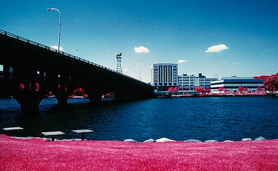 Downtown Rockford