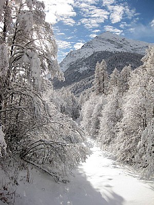 Saas Grund