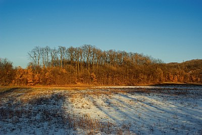 Snow, sun and shadow