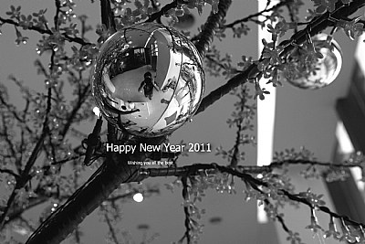 Happy New Year 2011