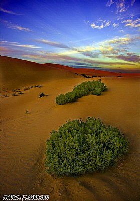 The deserts of Saudi Arabia