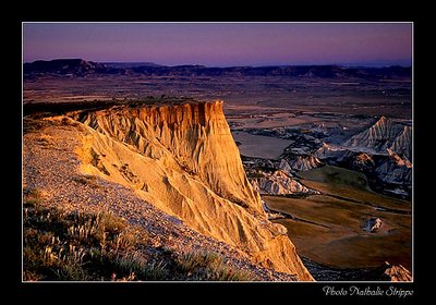 Bardenas