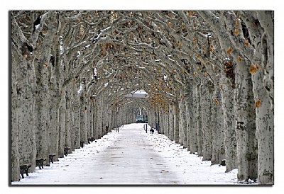 natural tunel