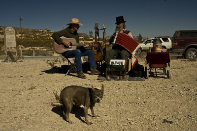 Terlingua Market Dogs