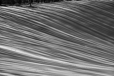lines in the snow