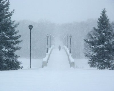 A Snowy Walk