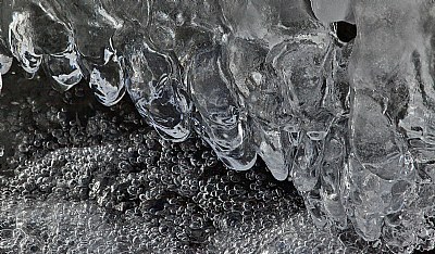 frozen and fluid bubbles