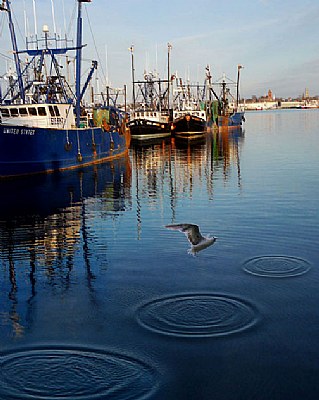 water circles