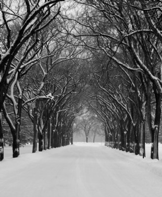 Snowy Tunnel