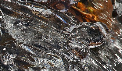 ice forms in creek 2