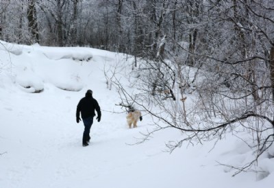 A Frosty Walk