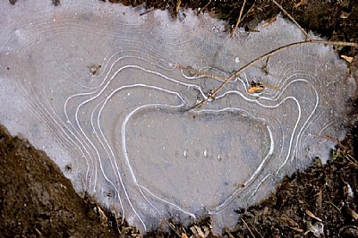 Heart of Glass