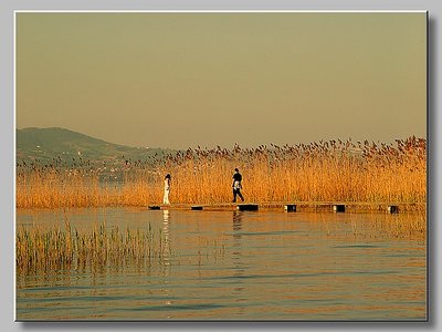 Romantic Times On The Lake
