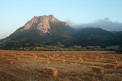 Hay Field near Morro Bay