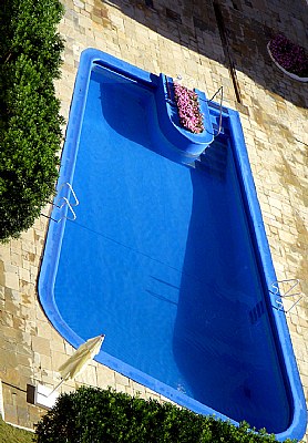 Pool & Flowers