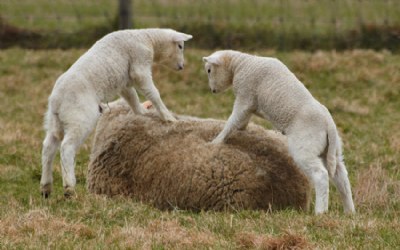 playing with mum is fun