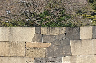 Walled Detail