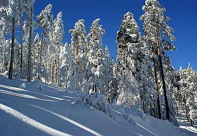 Winter theme with mountains