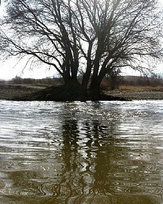 reflection