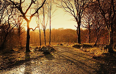 Brecon Beacons