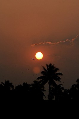 sun rise