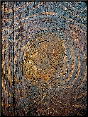 wood vibrations