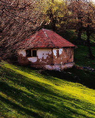 Abandoned shepherd's hut 
