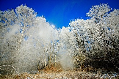 Winter in Upper Silesia