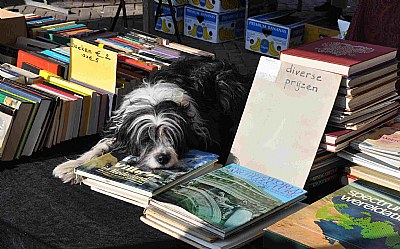 AmsterdamOpen Market