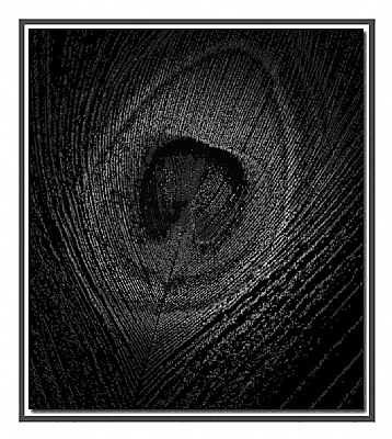Feather