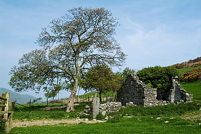 Farm Building Ruins