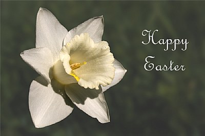 Happy Easter Bell